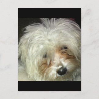 Cartão Postal Pequeno Casper Bonito