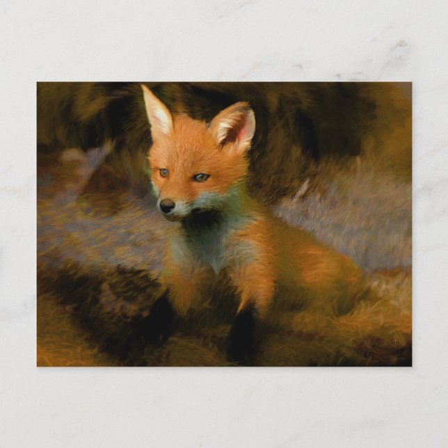 Cartão Postal Pequeno Fox Cub Retrato (Frente)