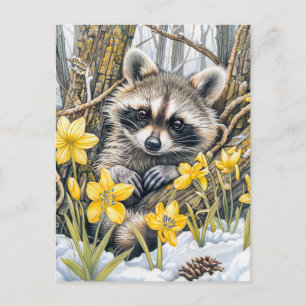 Cartão Postal Pequeno Guaxinim Entre Carvalhos da Primavera