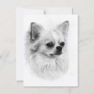 Cartão Postal Pequeno Observador - Retrato de Chihuahua Pintado 