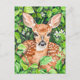 Cartão Postal Pequeno Veado no Prado