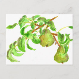 Cartão Postal Peras Aquarela Fruta de Verão