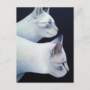 Cartão postal Percival & Lancelot