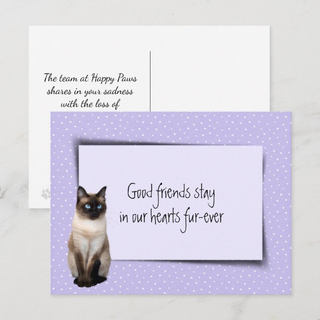 Cartão Postal Perda de Gato Siames de Veterinário (Frente/Verso)