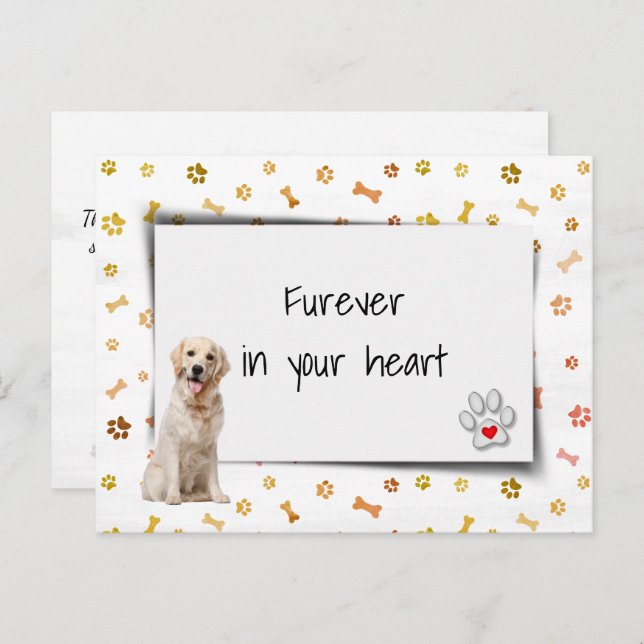 Cartão Postal Perda de Simpatia Pet de Retriever de ouro (Frente/Verso)