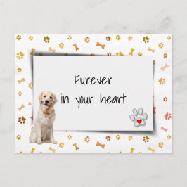 Cartão Postal Perda de Simpatia Pet de Retriever de ouro
