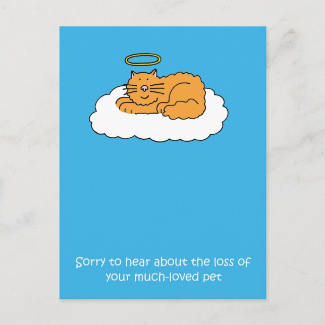 Cartão Postal Perda de simpatia por gatos de estimação (Frente)