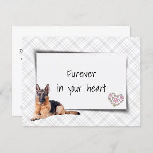 Cartão Postal Perda de simpatia por german shepherd Pet