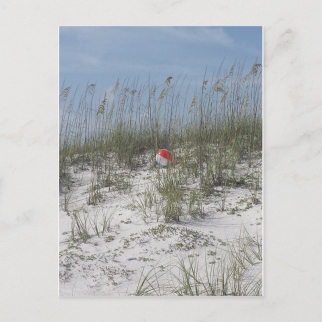 Cartão Postal Perdido nas Dunas (Frente)