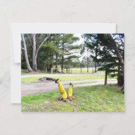 Cartão Postal Perdido no Jardim de novo