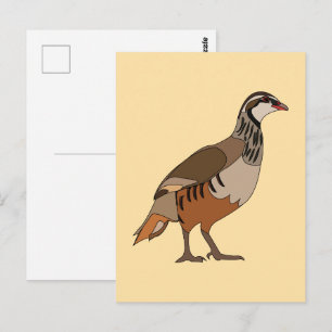 Cartão Postal Perdiz Chukar