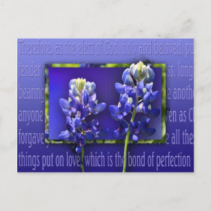 Cartão Postal Perdoe-me