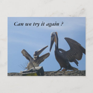 Cartão Postal Perdoe-me. Sai comigo.