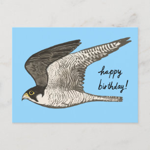 Cartão Postal Peregrino Lápis de Cor FELIZ ANIVERSÁRIO