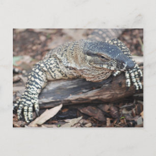 Cartão Postal Perenti