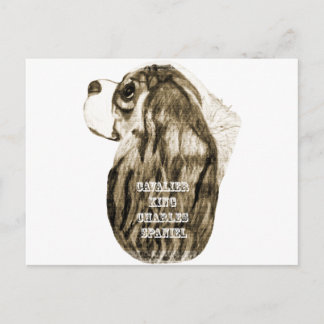 Cartão Postal Perfil Antiquado Cavalier King Charles Spaniel