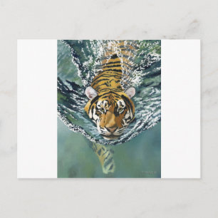 Cartão Postal Perigo Ahoy!