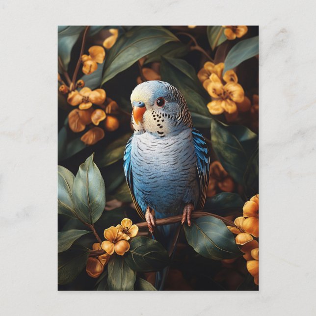 Cartão Postal Periquito Azul Papagaio Flores Amarelas (Frente)