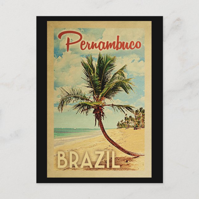 Cartão Postal Pernambuco Palmeira Viagem Vintage (Frente)