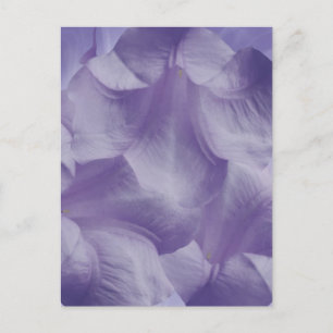 Cartão Postal Pérolas de Flores Roxas