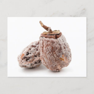 Cartão Postal Persimmon Seco