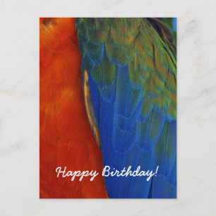 Cartão Postal Personalizado Colorido Festa de Aniversário de Pen