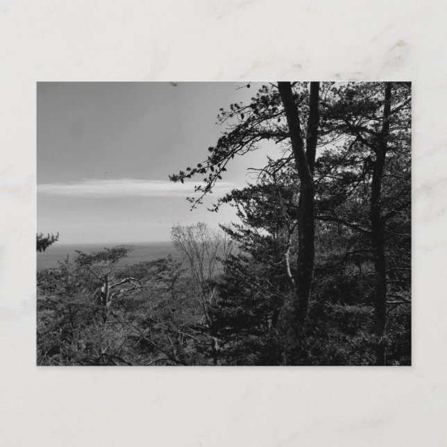 Cartão Postal Personalizado com Fotografia Preto e (Frente)