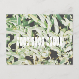 Cartão postal personalizado com plantas verde páli