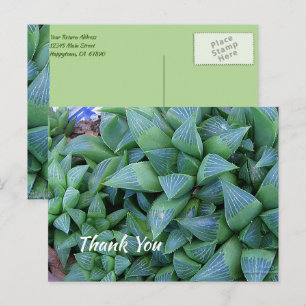 Cartão postal personalizado de agradecimento com p