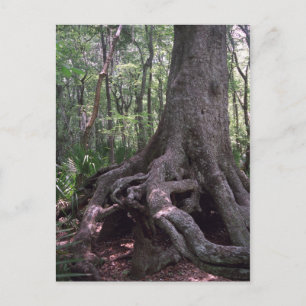 Cartão postal Personalizado de Artefato Florestal