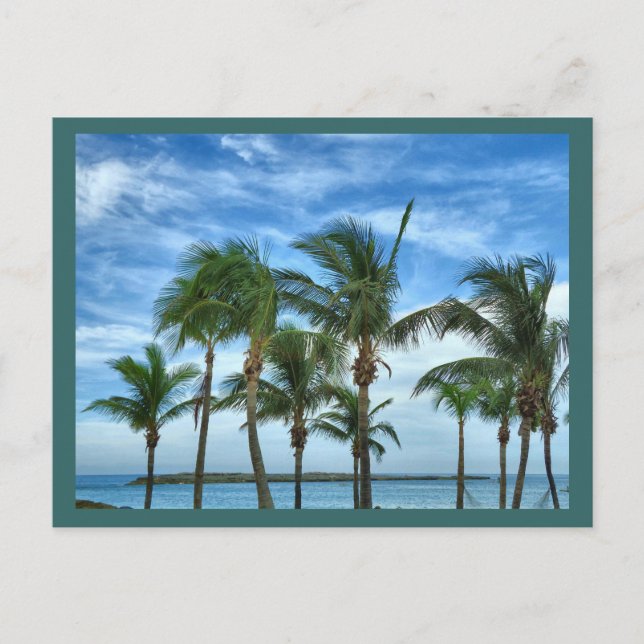 Cartão Postal Personalizado de Tarde Tropical (Frente)