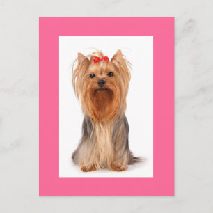 Cartão Postal Personalizado do Cachorro Filhote Yo