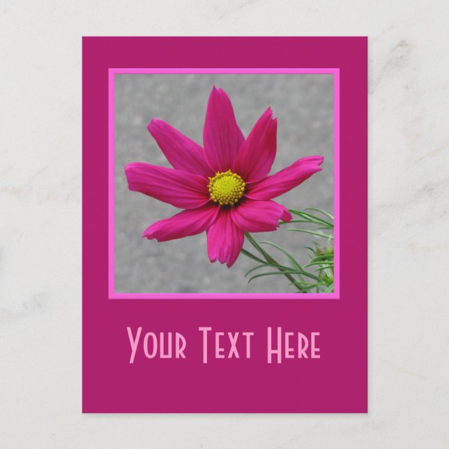 Cartão postal personalizado Flor Rosa (Frente)