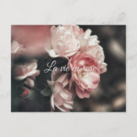 Personalizado/ La Vie En Rosa/ Floral