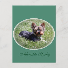 Cartão postal personalizado Yorkie adorável