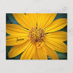 Cartão Postal Personalizar Flor Amarelo Bonita
