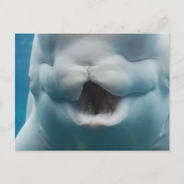 Cartão Postal Personalizar produto (Frente)