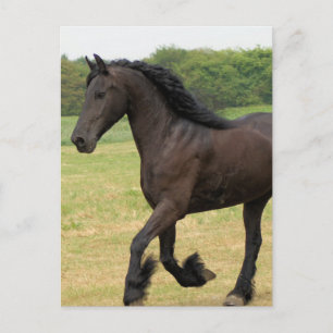 Cartão Postal Personalizar produto