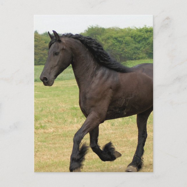 Cartão Postal Personalizar produto (Frente)