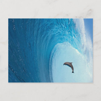 Cartão Postal Personalizar produto