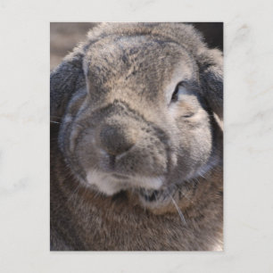 Cartão Postal Personalizar produto