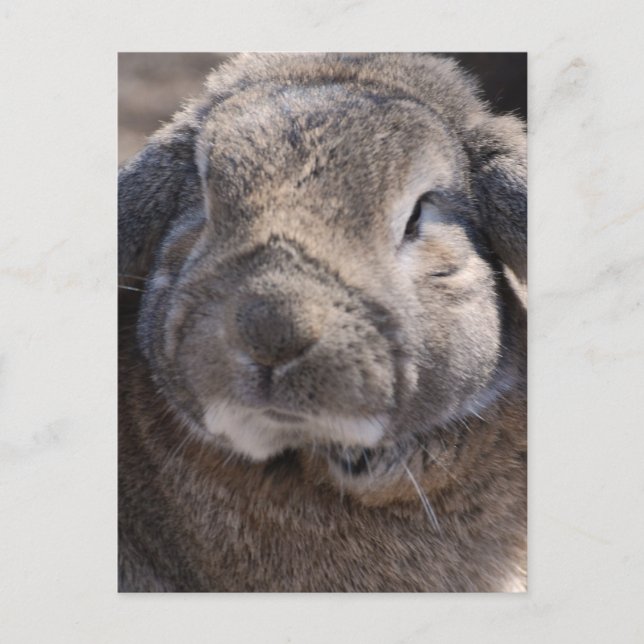 Cartão Postal Personalizar produto (Frente)