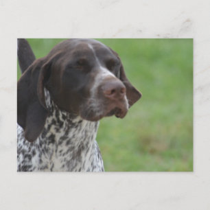 Cartão Postal Personalizar produto