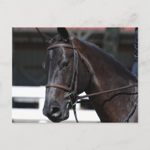 Cartão Postal Personalizar produto