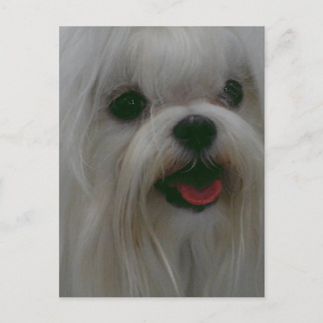 Cartão Postal Personalizar produto (Frente)