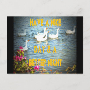 Cartão Postal Personalizar produto