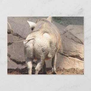 Cartão Postal Personalizar produto