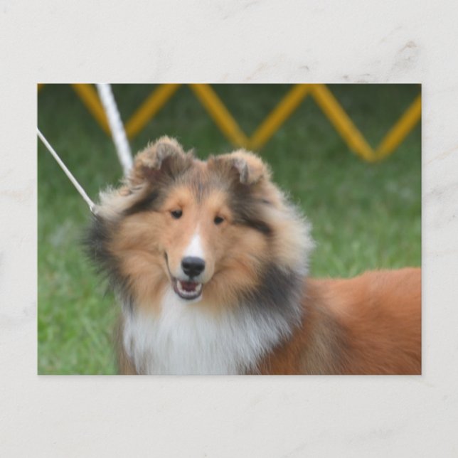 Cartão Postal Personalizar produto (Frente)