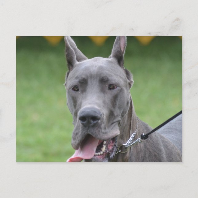 Cartão Postal Personalizar Produto (Frente)