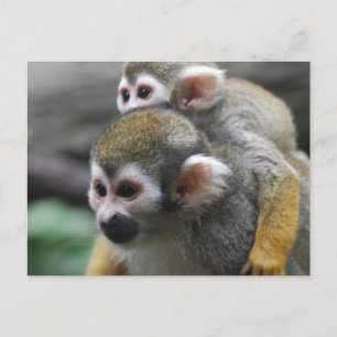 Cartão Postal Personalizar produto